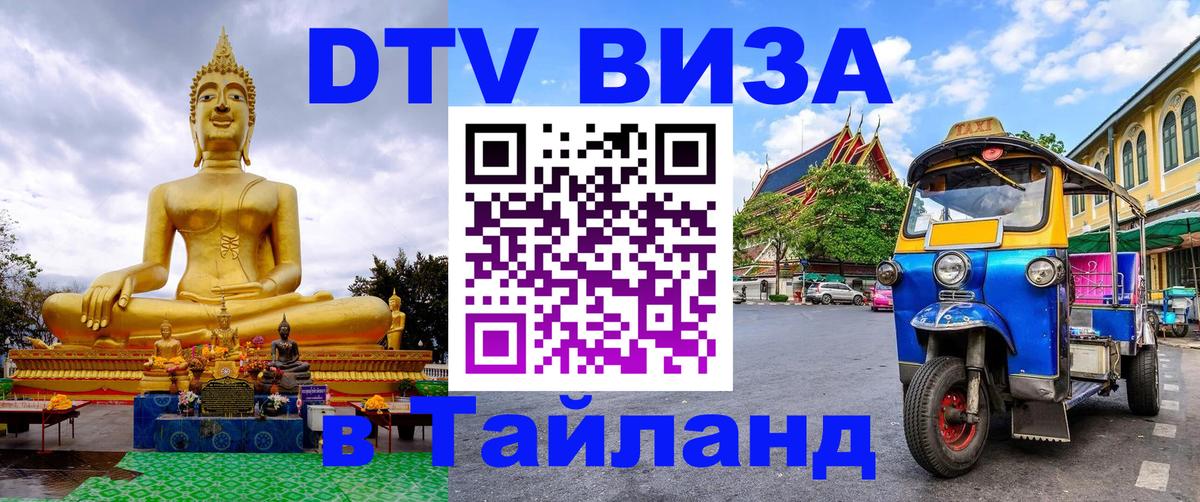 Оформление DTV визы под ключ: стоимость и тарифы, только загранпаспорт - 